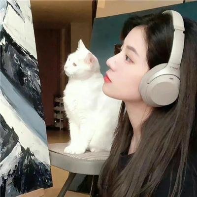 被掠夺的画作