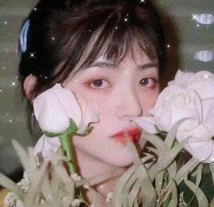 我的吸血鬼姊妹